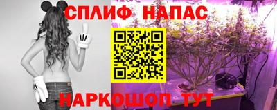 тгк Заводоуковск