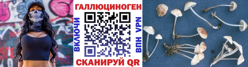 Галлюциногенные грибы Cubensis Армавир