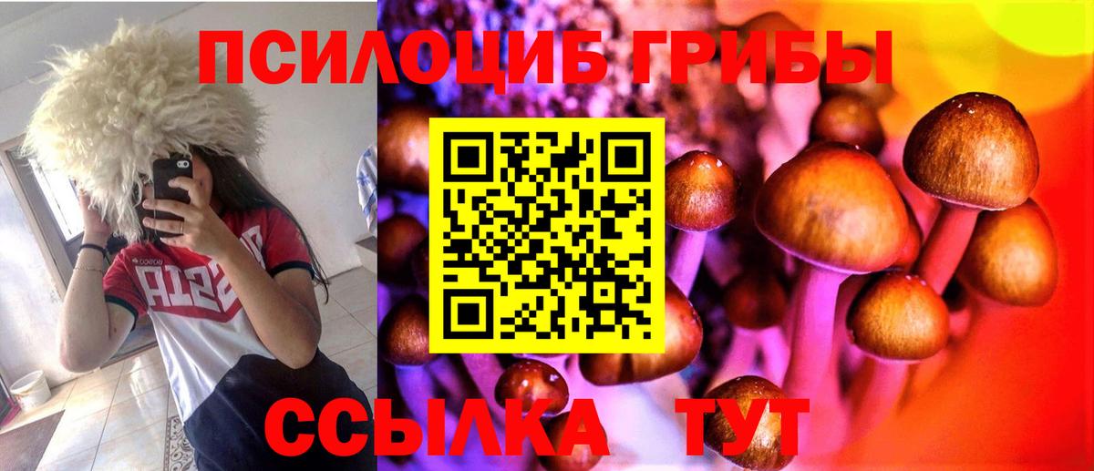 Галлюциногенные грибы мицелий Армавир
