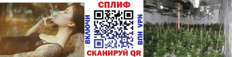 мега сайт  Армавир  Бошки Шишки семена  продажа наркотиков 